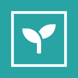 Environmental Consulting