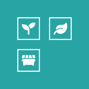 Environmental Services