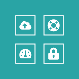 IT Support and Maintenance