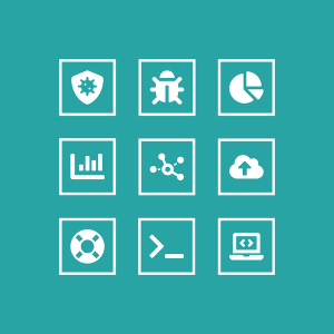 IT and Technology Services