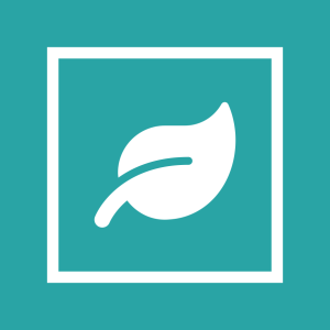 Sustainability Consulting