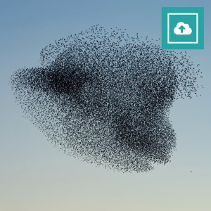 Cloud Migration Plan